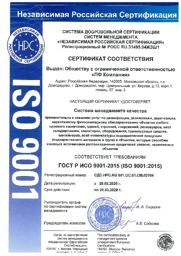 Название документа